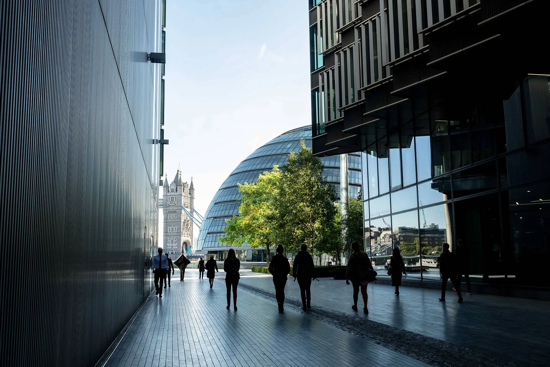 Login background image